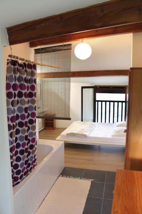 Gite Dans Un Hameau De Charme Castelnau-Durban Zewnętrze zdjęcie