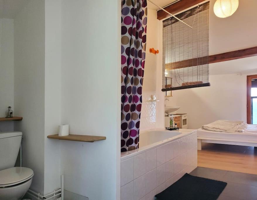 Gite Dans Un Hameau De Charme Castelnau-Durban Zewnętrze zdjęcie